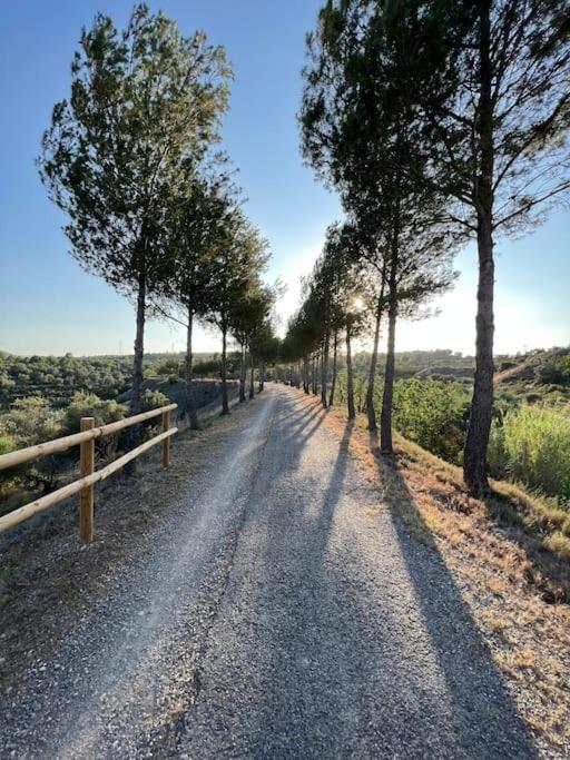 Apto. Rural Cielo. Al Lado Torre Jerica Exterior photo
